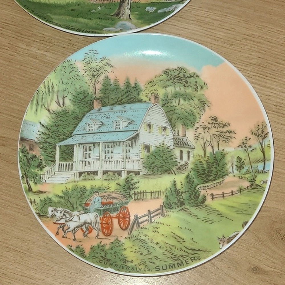 Set of 2 décoration plate soft contry
